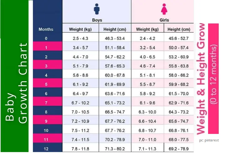 comprehensive-guide-to-indian-baby-height-and-weight-chart-(0-to-12-months)