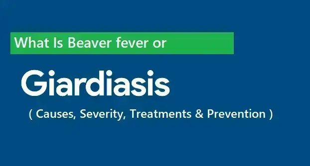 what-is-beaver-fever-or-giardiasis