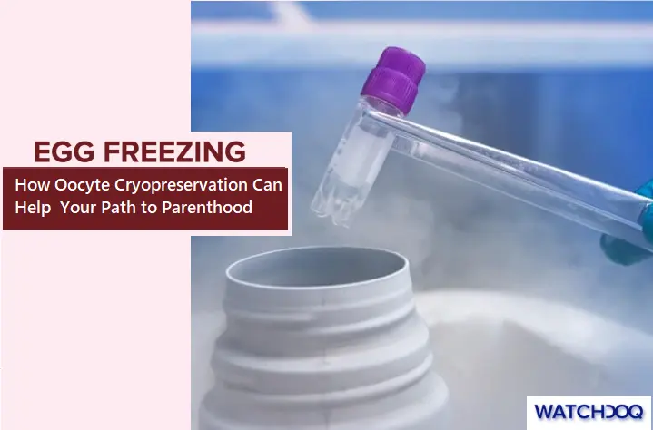 how-oocyte-cryopreservation-can-help-your-path-to-parenthood