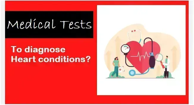 5-common-tests-and-procedures-to-check-healthy-heart