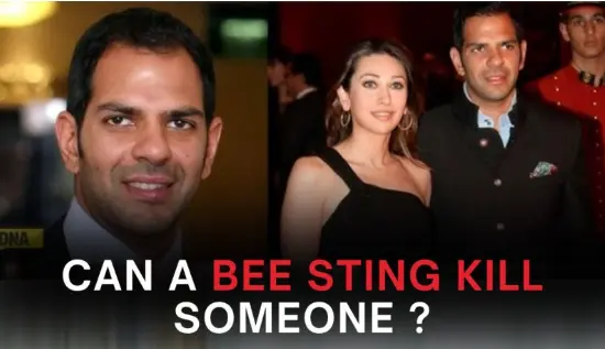 can-a-bee-sting-trigger-a-heart-attack?-the-scary-truth-you-should-not-ignore