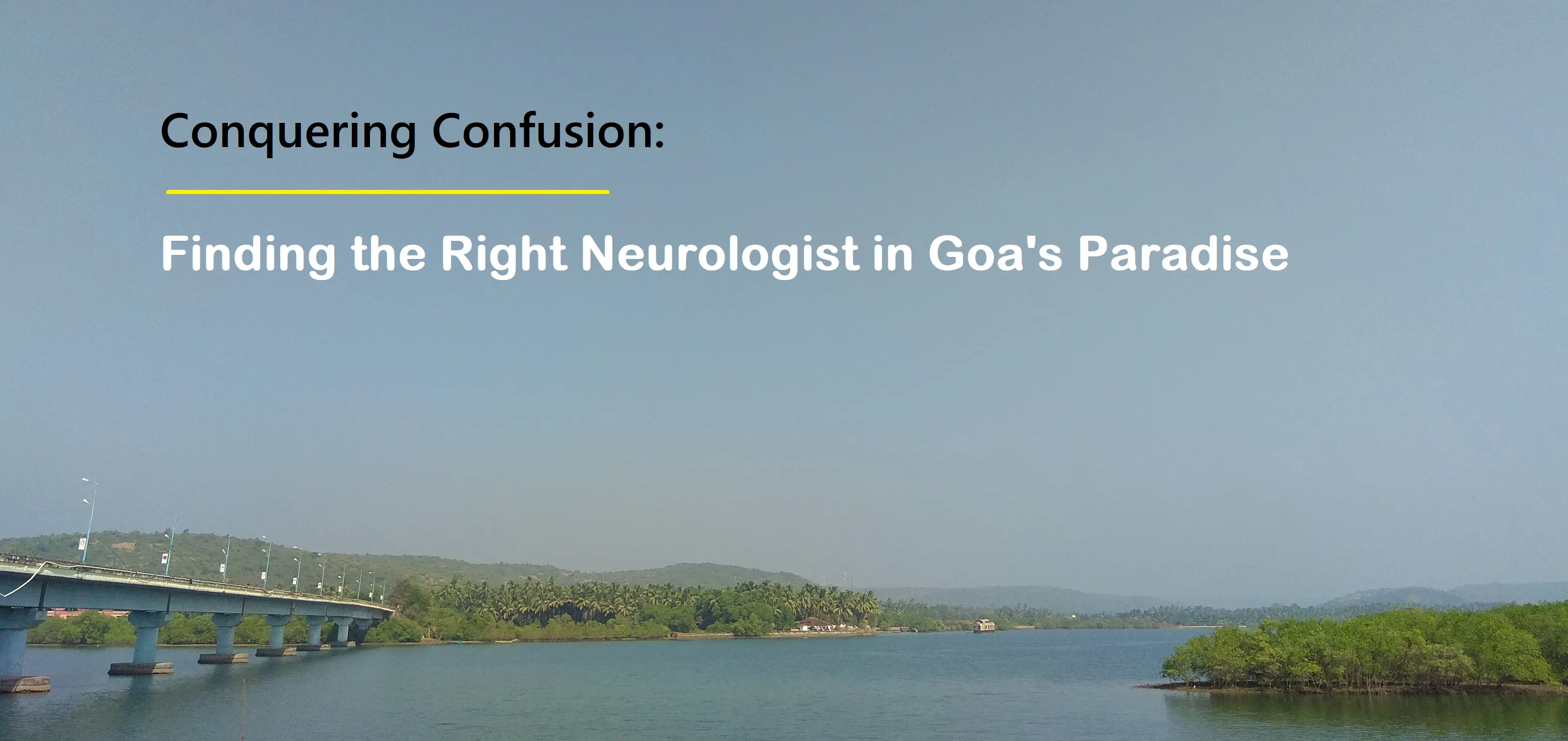 conquering-confusion:-finding-the-right-neurologist-in-goa-(2024)