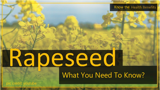 exploring-the-versatile-and-nutritious-rapeseed-with-benefits-and-considerations