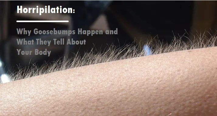 Goosebumps, or horripilation, are more than a reaction to cold or fear. Learn why they happen, their role in evolution, and what they reveal about your emotions and health.