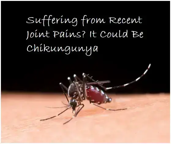 suffering-from-recent-joint-pains?-it-could-be-chikungunya-or-something-else