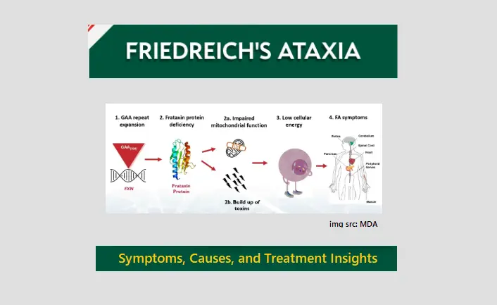 friedreich-ataxia:-symptoms,-causes,-and-treatment-insights