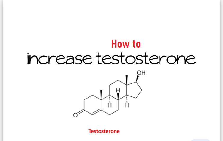 what-you-can-do-to-increase-testosterone-levels-in-men