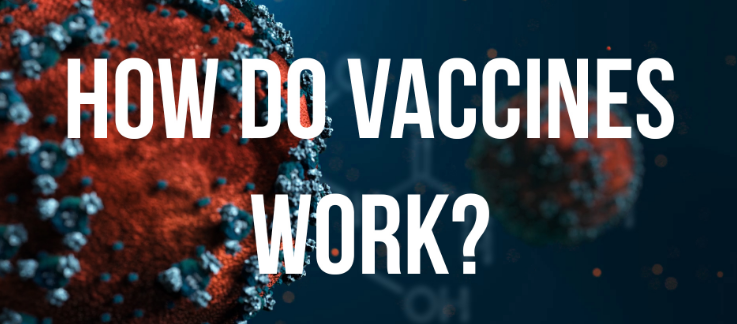 facts-about-covid19-vaccine--you-should-know