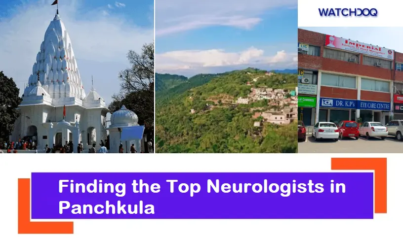 finding-the-top-8-neurologists-in-panchkula,-haryana