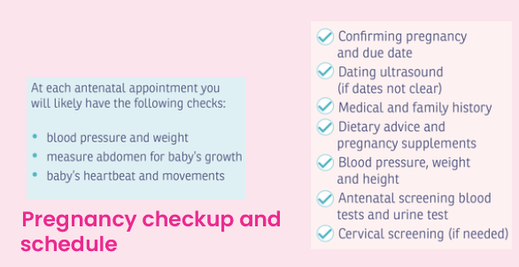 Pregnancy checkups and schedule