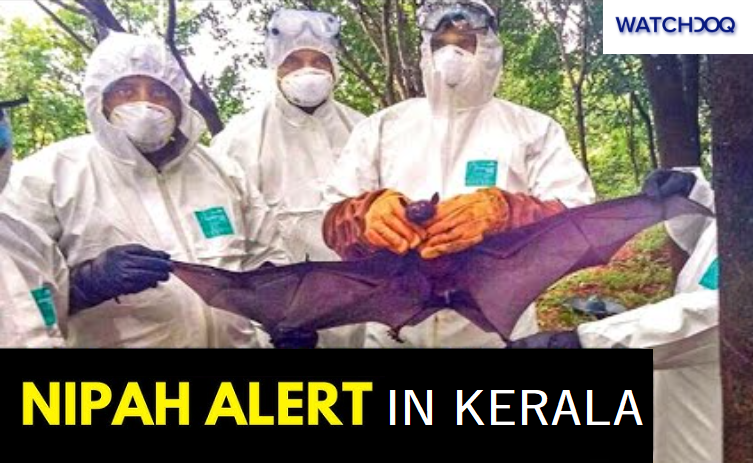 Nipah Virus Variant from Bangladesh Detected in Kerala: Moderate Infectivity, High Mortality