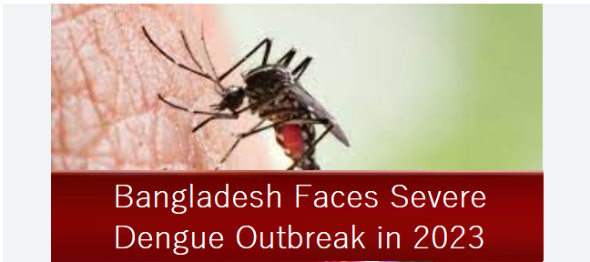 Bangladesh Faces Severe Dengue Outbreak 2023 : Alarming Rise in Cases and Fatalities