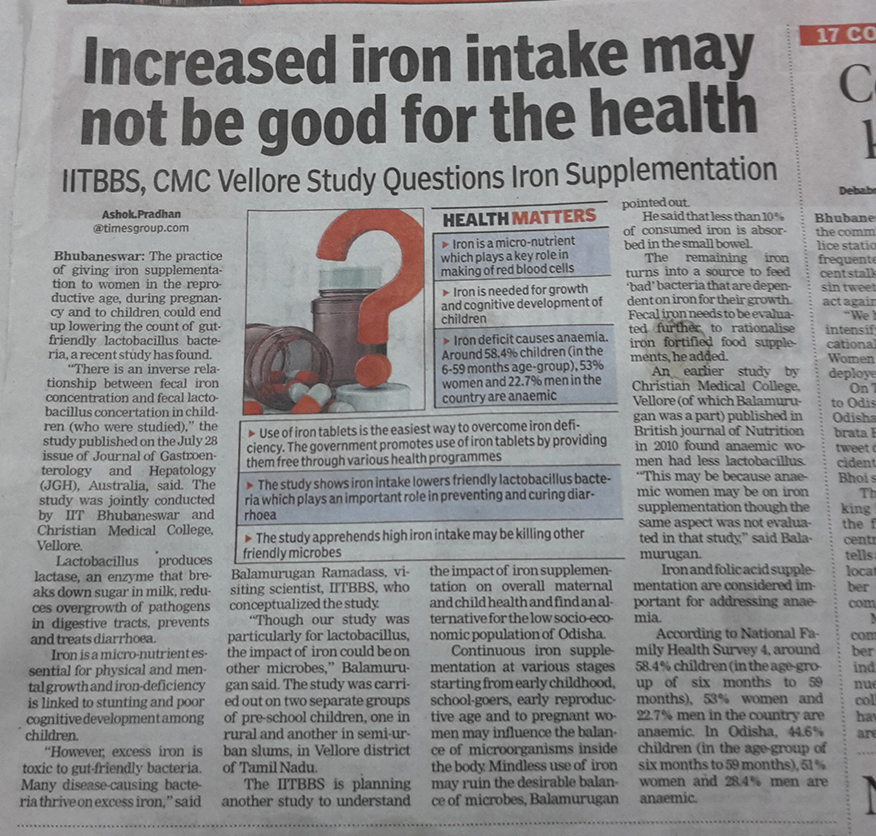 Increased iron intake may not good for health