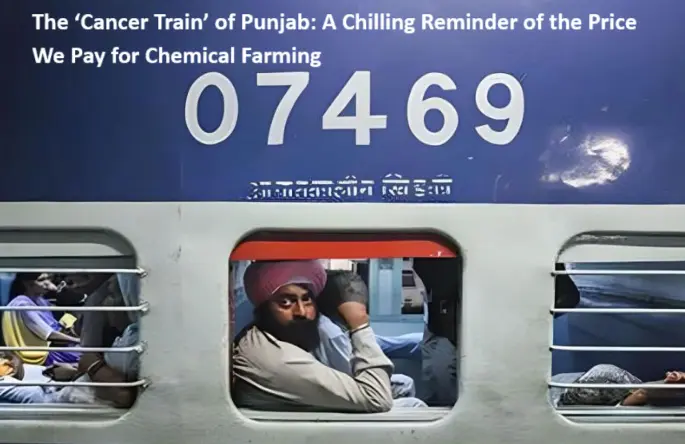 What to Know About The Cancer Train of Punjab