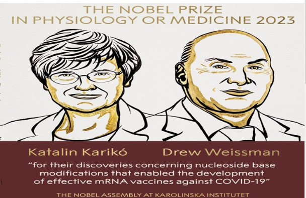 Nobel Prize 2023 in Medicine or Physiology Announced: Celebrating Pioneers of mRNA Vaccines